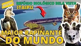 CHEGUEI PERTO DA MAIOR AVE DO MUNDO!!!