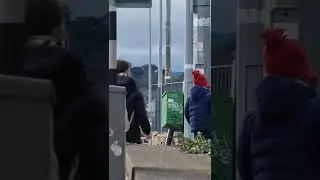 AMAZING KID ENJOYS WALKING HEDGES WITH MOTHERS HELP