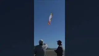 Loving this beautiful custom kite - who says your can't be art!