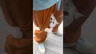Shy cats are so adorable. 😻