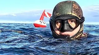 PESCA SUB: pescata di fine Dicembre Sicilia occidentale.