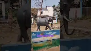 গোসাইর হাট গ্ৰাম পঞ্চায়েত পার্ক/Gosairhat G.P mini park/#shorts #trending #short @ajajulmiahvlogs