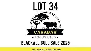 Lot 34 Carabar Hingaia Q63 U501