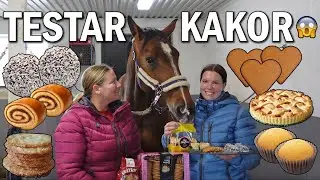 Challenge - H&auml;starna testar olika sorters fika!