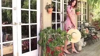 Kiyonna Plus Size Clothing | Spring 2019