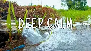 Sleep Faster with Flowing Water ASMR | Deep Natural Calm