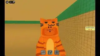 jogando com meu primo