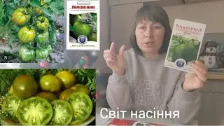 Огляд томатів та овочів з фірми 