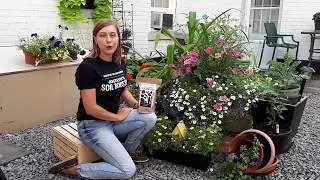 HOW IT WORKS - JOCELYN'S SOIL BOOSTER