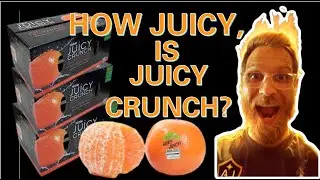 How JUICY  is Juicy CRUNCH #shorts