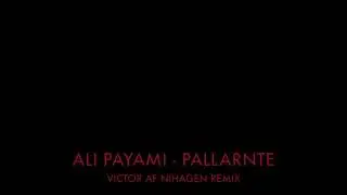 Ali Payami - Pallarnte (Victor af Nihagen Remix)