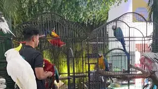 Petexindia