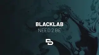 Blacklab - Need 2 B