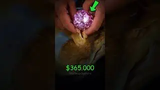 Best Mineral Finds &ndash; Nature&rsquo;s Hidden Treasures 💎🌍