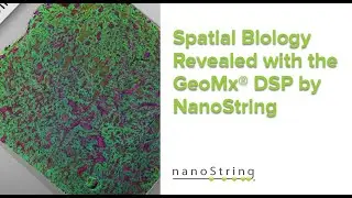 Spatial Biology Revealed with the GeoMx DSP by NanoString