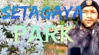 Setagayapark in Vienna | Parks 🇦🇹🌹🌻🌼🌷🌳🌴🌿🍁
