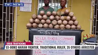 Ex-Boko Haram Fighter, Traditional Ruler, 35 Others Arrested
