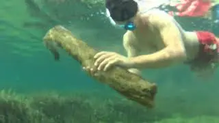 Presqu'ile de Giens 2017