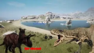 Some dasp pvp (did not go well)