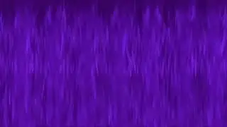 PILAR DE LLAMA VIOLETA