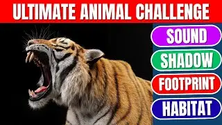 Ultimate Animal Quiz Challenge | Sounds, Shadows, Footprints and Habitats