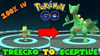 Evolving 100iv TREECKO to SCEPTILE - Pokemon GO GEN 3 EVOLUTION