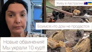 Живу в Австралии 🇺🇦🇦🇺 Нас обвинили в воровстве кур!Боимся,что соседка не продаст дом. Слишком дорого