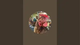 Jakoob videos  is live!
