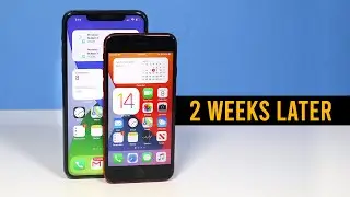 iOS 14: Two Weeks Later - Worth the Hype? (Beta 2 Features)