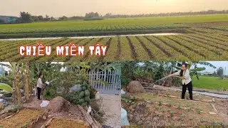 🌿|65| Tan làm về, sống chậm giữa chiều quê miền Tây.