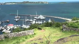 BAIE DE NETTLE