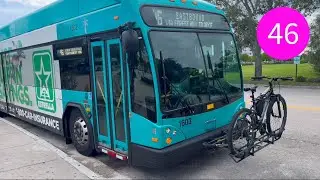 Palm Tran: On-Board 2016 40ft Gillig BRT Plus #1603 On Route 46 