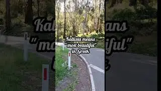Walk the Dandenongs - Lyrebird track from Grants Picnic ground - 45 min stroll in 5 mins