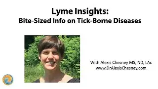 Permethrin Power: Your Best Defense Against Ticks!