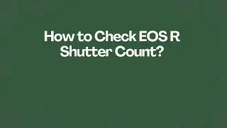How to Check EOS R Shutter Count?