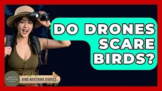 Do Drones Scare Birds? - Bird Watching Diaries