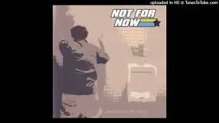 Not For Now - I Won&rsquo;t Change (2002)