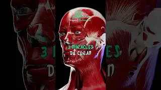 3 Miracles Du Coran Qui Ont Choqu&eacute; Les Ath&eacute;es