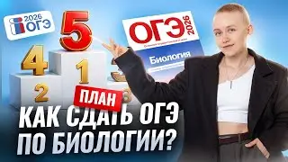 Как сдать ОГЭ по биологии на 3/4/5? | Биология ОГЭ | Елена Зеленская | Умскул