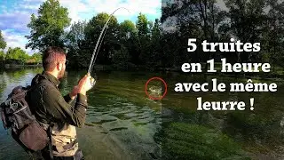 Je vous emmène à la PÊCHE - 5 TRUITES en 1 heure. (4K)