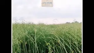 ANCHOR - ECHOES