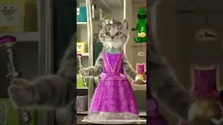 Dress Up Kitten Cat Princess and Pirate #kitten #cartoon