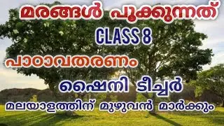 Trees are blooming(Rafeeq Ahmed)marangal pookkunnath std 8keralaschool