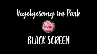 Vogelgesang im Park | Black Screen schwarzer Bildschirm Tiefenentspannung Einschlafen birdsong relax