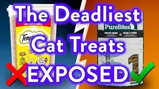 10 Cat Treats To AVOID At All Costs! (And Few That Are Safe!)