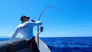 bluefin tuna wins the fight after 5 hours of combat