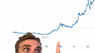 Sharering Bullish 100x!