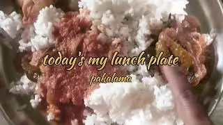 இன்னிக்கு என்ன Lunch பாக்கலாமா #ytshorts #lunch #viral #videos #nagarajuma #shorts #food 