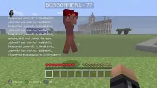 Minecraft survival