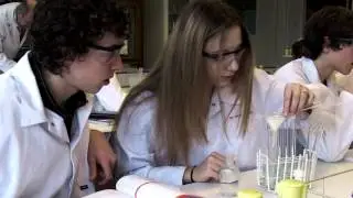 Leonardo College Leiden in vogelvlucht